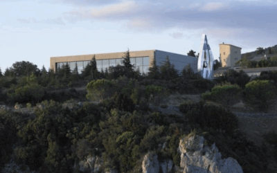 41e journée : La dent traumatisée