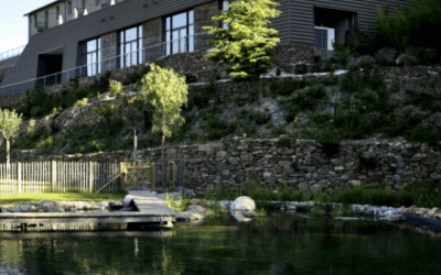 43e journée : Dents retenues et ectopiques