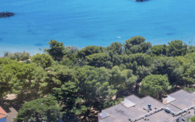 46e journée : Préparation orthodontique et chirurgie des classes II – Du diagnostic à la contention