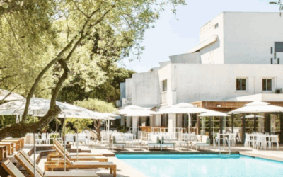 50e journée : Ancrage et aide chirurgicale en orthodontie