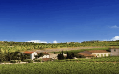 51e journée : Chirurgie en omnipratique : savoir faire, savoir adresser